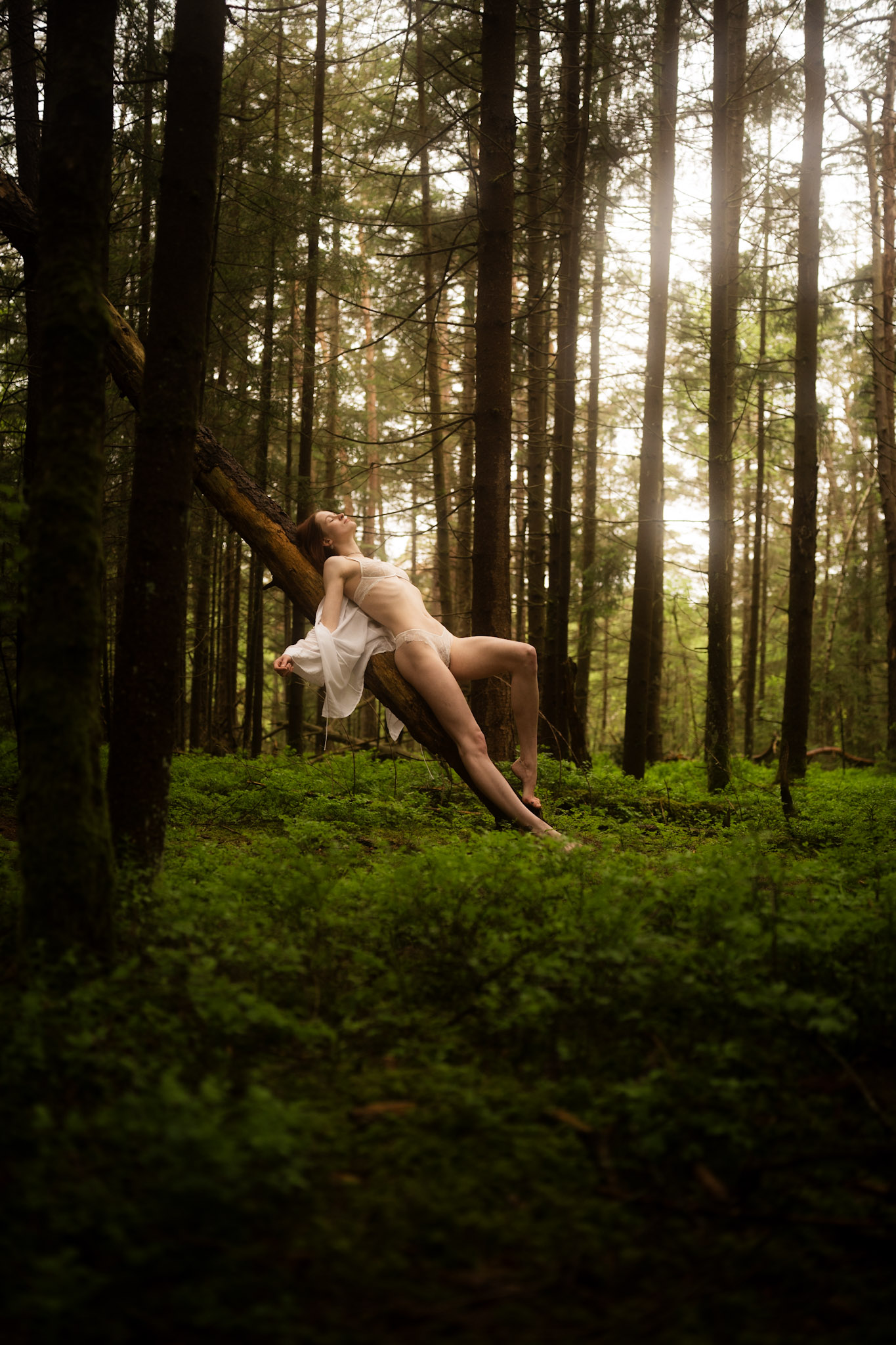 Frau in heller Wäsche und transparentem Überwurf liegt auf einem schrägen Baumstamm im Wald, Licht fällt durch die Stämme