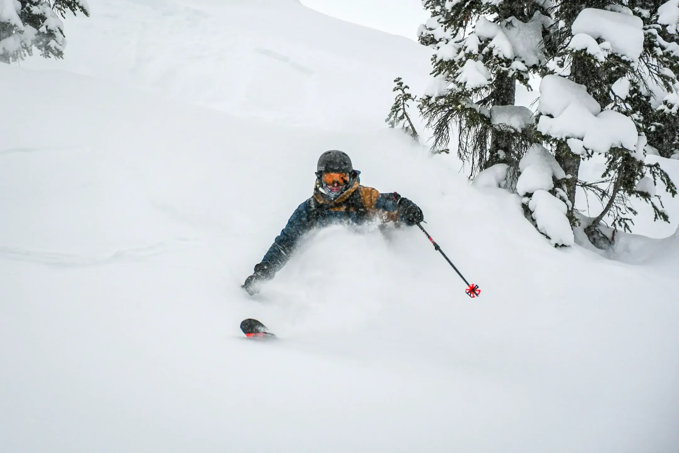 Skifahrer taucht im Tiefschnee ab, Pulver stiebt neben einem verschneiten Nadelbaum, Nahaufnahme