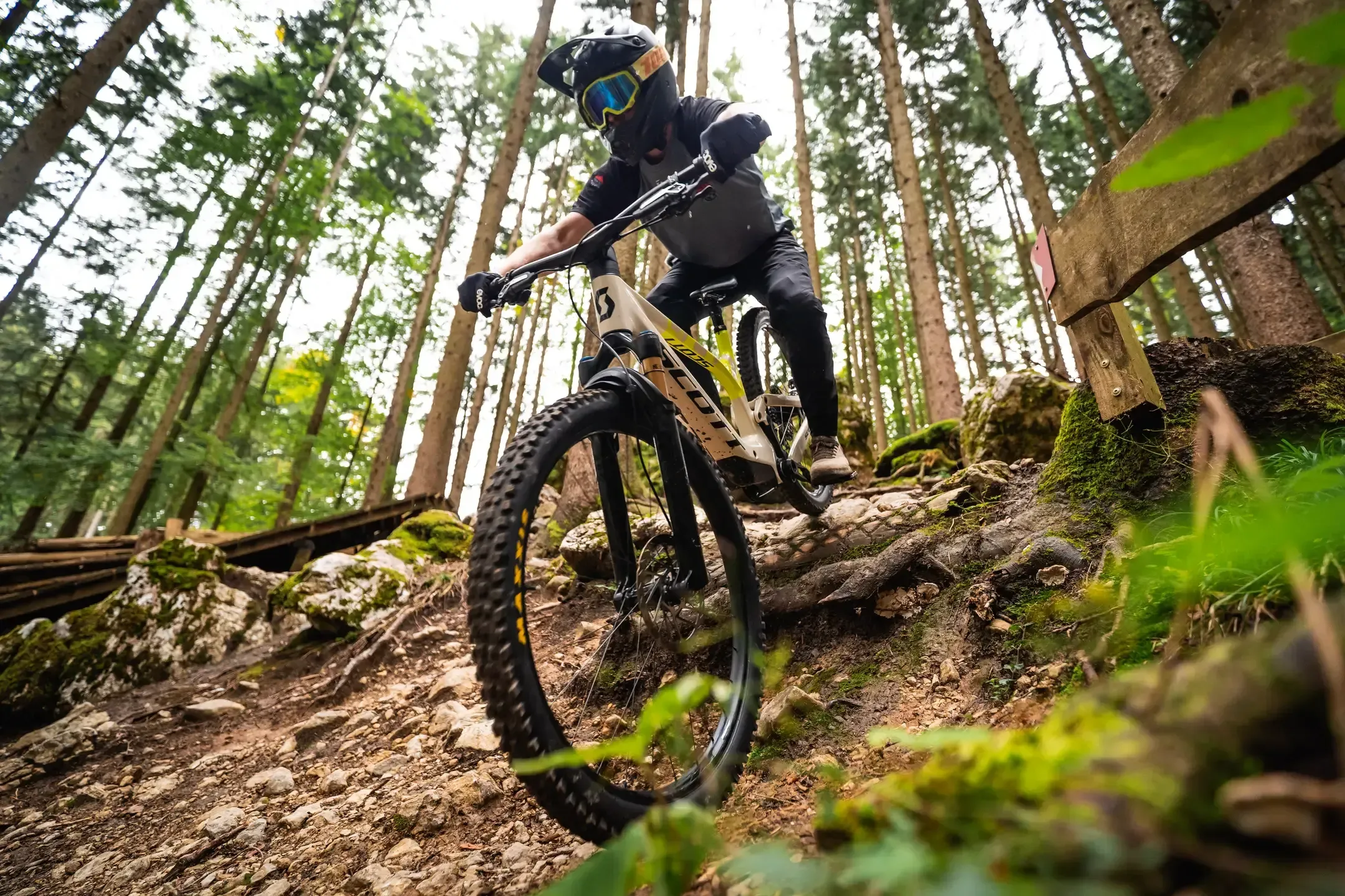 Mountainbiker fährt über Wurzeln und Steine auf einem Waldtrail, Froschperspektive zwischen hohen Nadelbäumen
