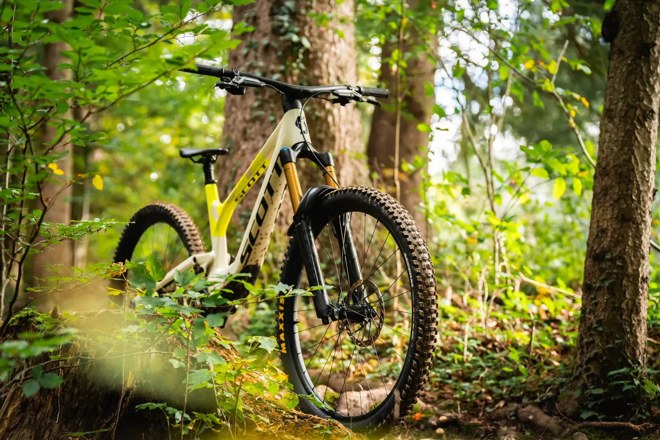 Weiß-gelbes Scott Mountainbike steht im sonnigen Wald zwischen Bäumen und grünem Unterholz