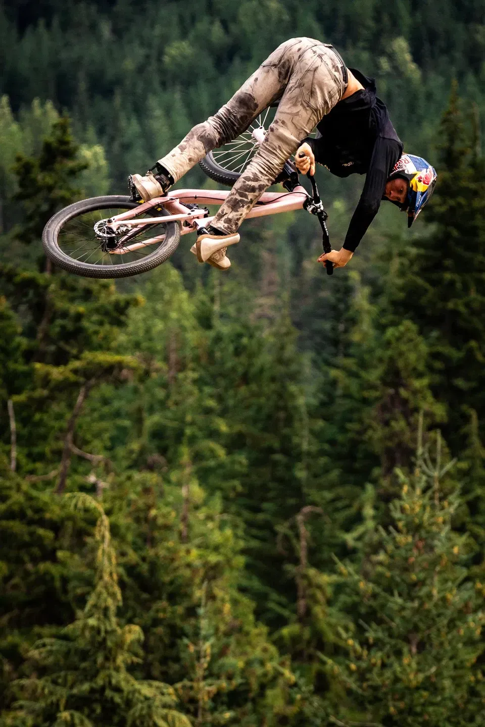 Mountainbiker mit rosa Rad im Flip kopfüber in der Luft, Nahaufnahme vor dichtem Nadelwald
