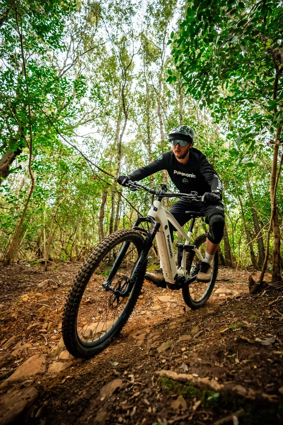 Mountainbiker mit weißem E-Mountainbike fährt über einen Waldtrail, Untersicht unter grünem Blätterdach