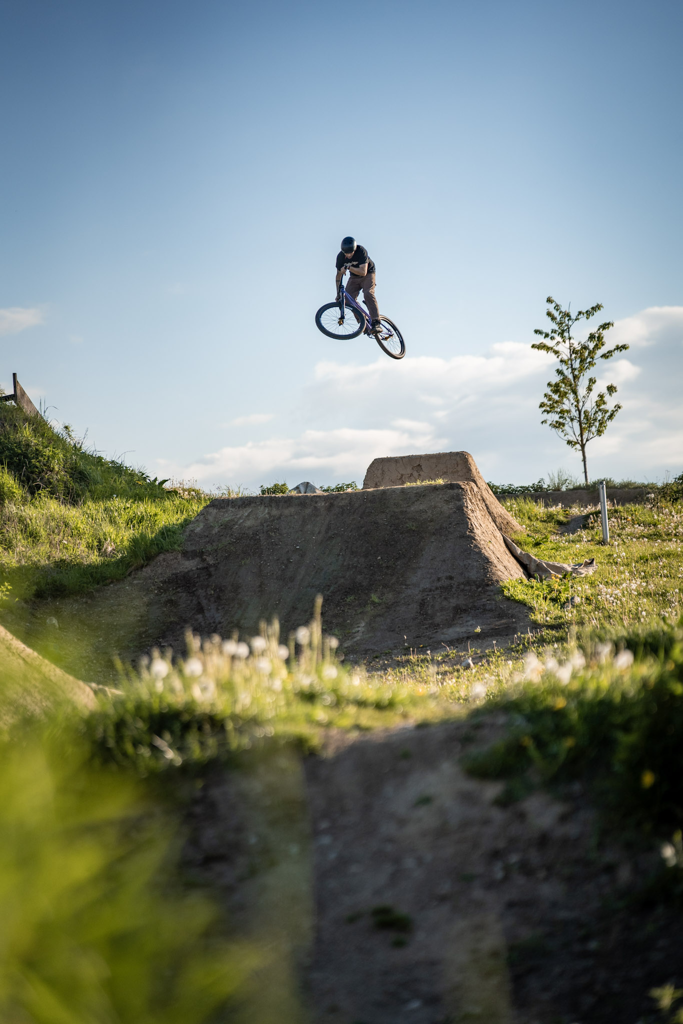 Dirtbiker im Sprung hoch über einer Erdschanze am Hang, Pusteblumen und Gras im Vordergrund