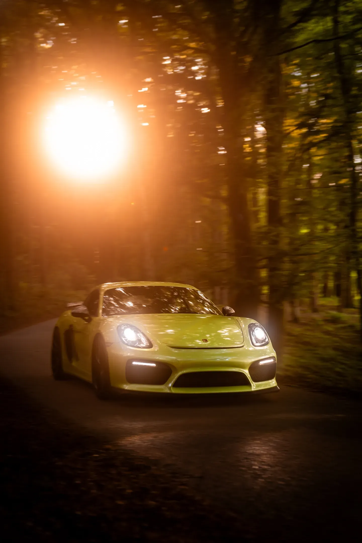 Gelbgrüner Porsche Cayman GT4 mit eingeschaltetem Licht auf einer Waldstraße, oben links strahlt die tiefe Sonne