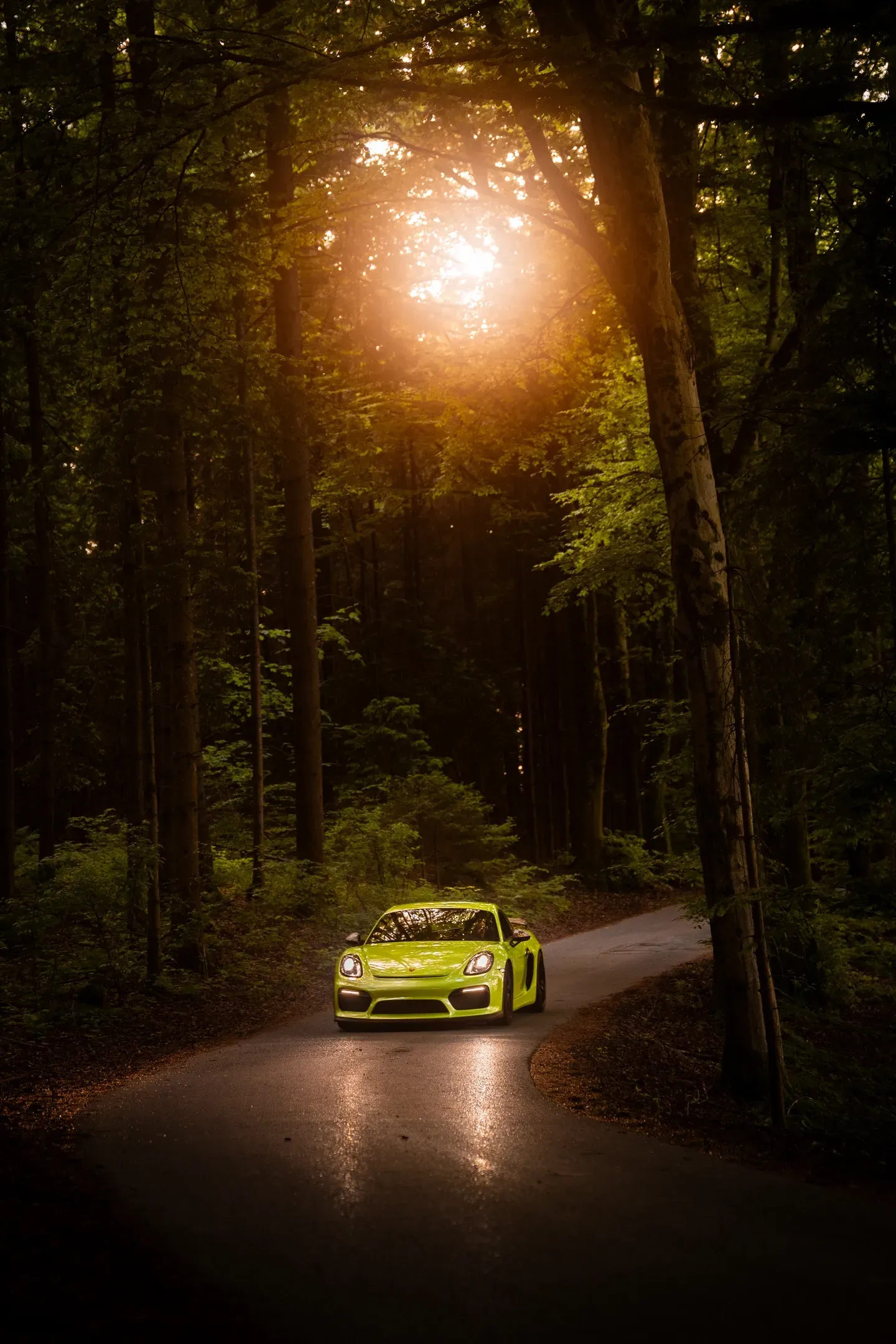 Gelbgrüner Porsche klein auf einer kurvigen nassen Straße in einem dunklen Wald, Sonnenlicht bricht durch die Baumkronen