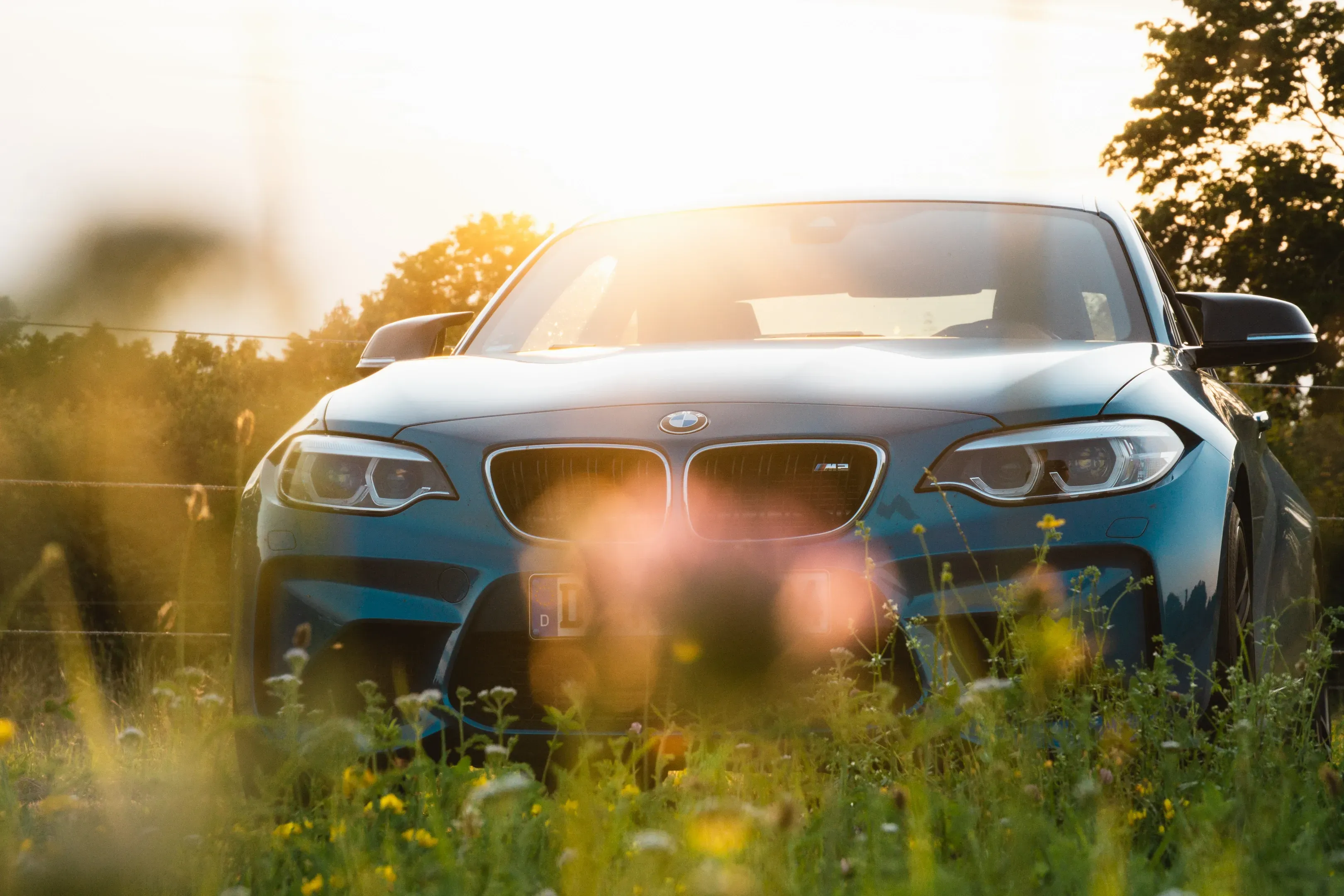 Front eines blauen BMW M2 im Abendlicht, im Vordergrund unscharfe Wiesenblumen und Gräser
