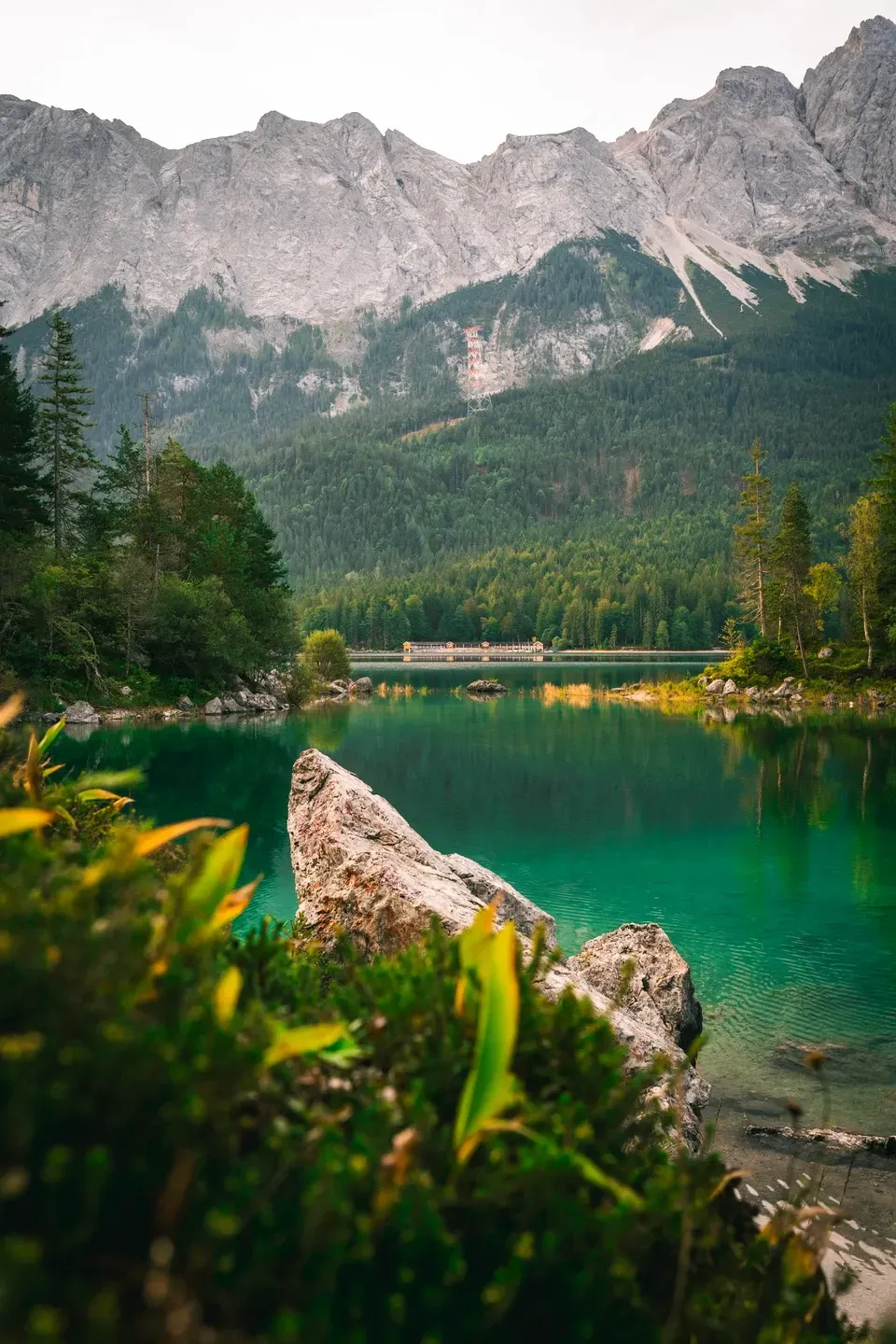 Felsblock im türkisen Eibsee, umrahmt von grünen Pflanzen, im Hintergrund die Felswände der Zugspitze