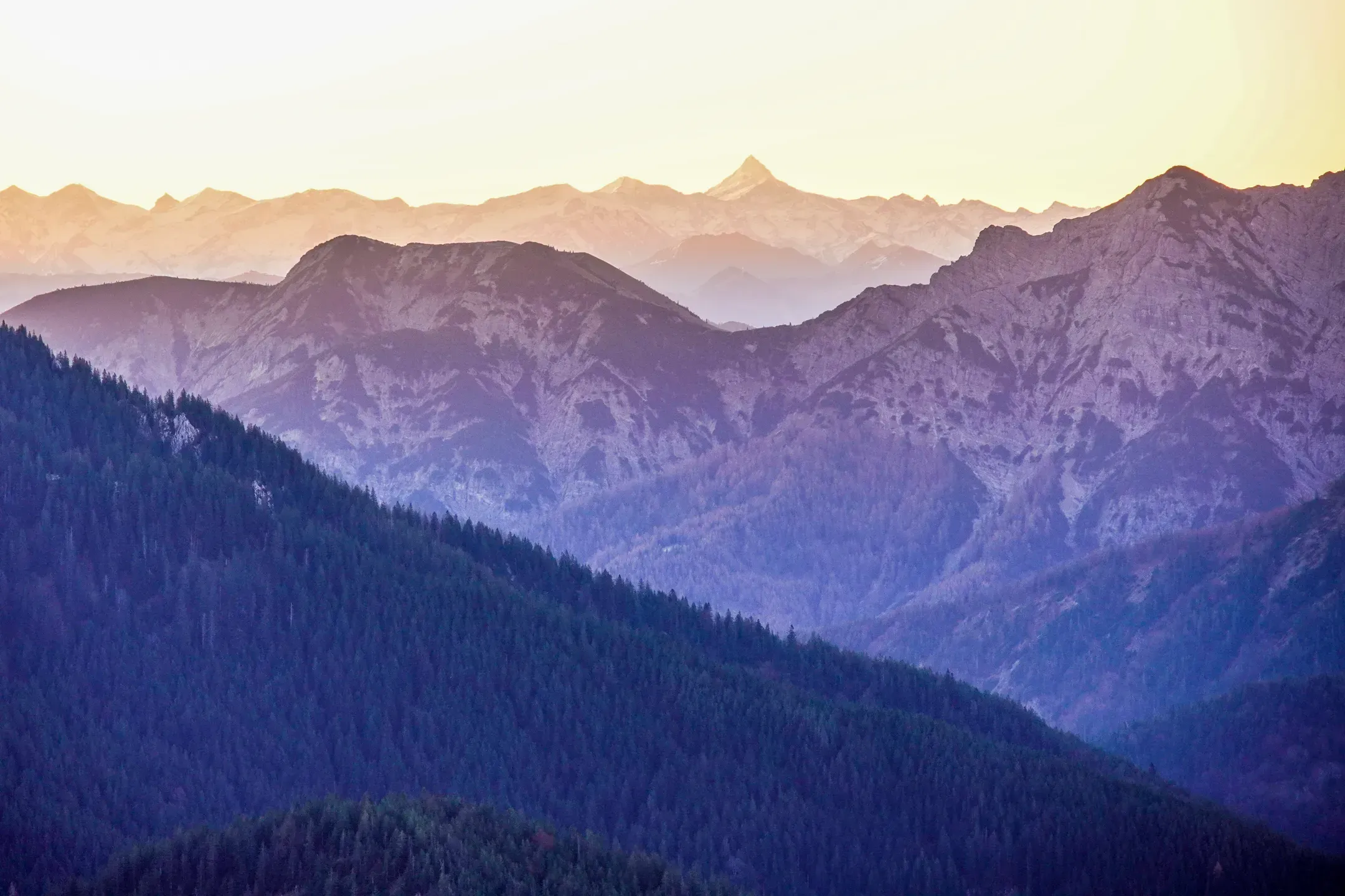 Gestaffelte Bergketten in violettem Abendlicht, bewaldete Hänge vorne und blasse Gipfel im Hintergrund