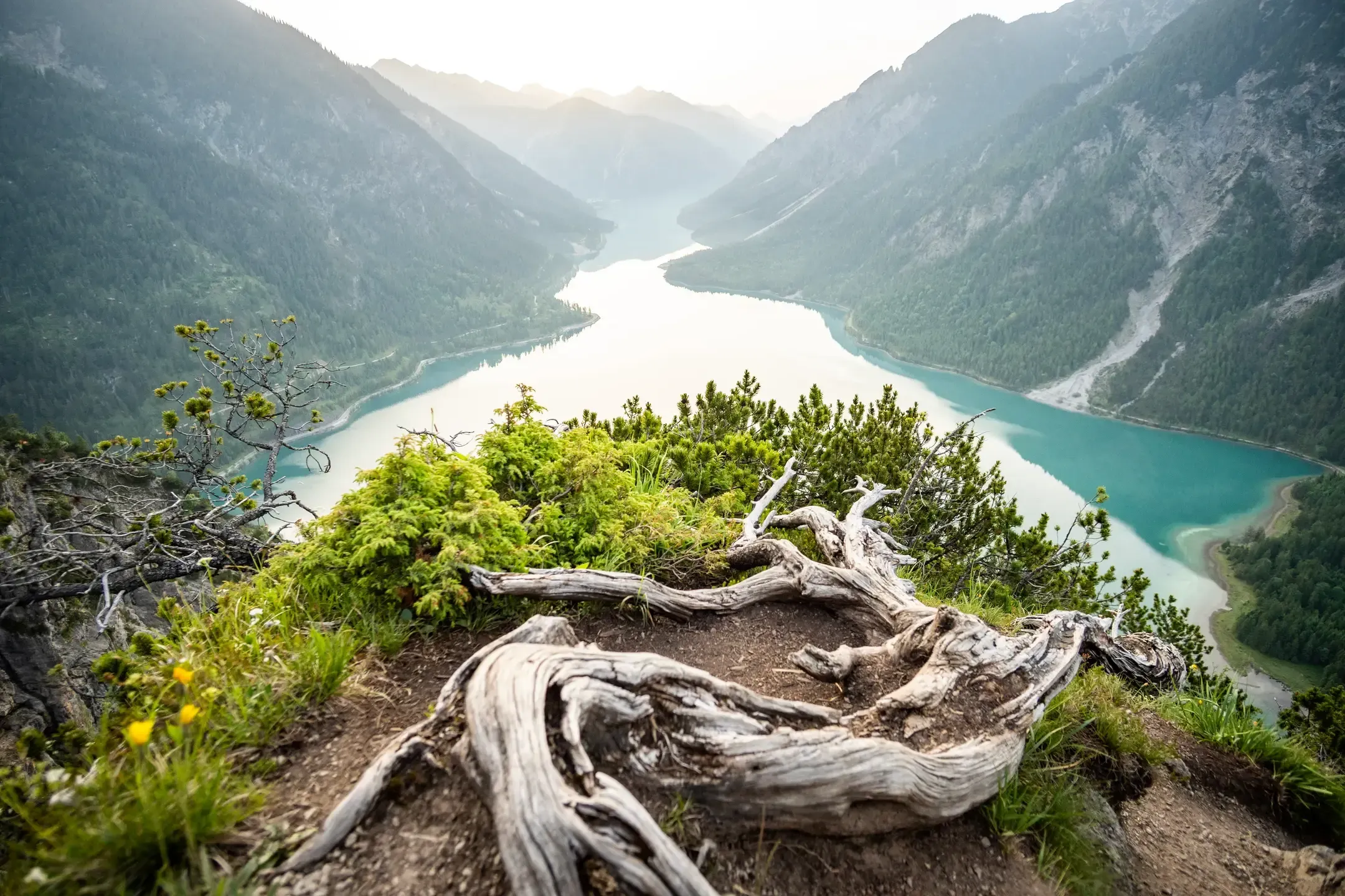 Verwitterte Baumwurzel auf einem Aussichtspunkt hoch über einem türkisen See zwischen steilen Bergen