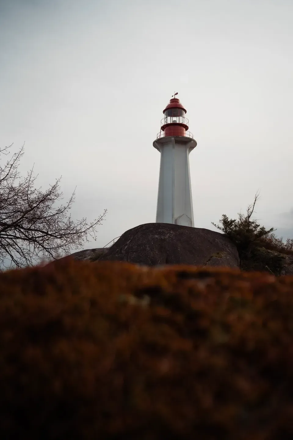Weißer Leuchtturm mit roter Laterne auf einem Felsen, im Vordergrund unscharfes rotbraunes Gebüsch