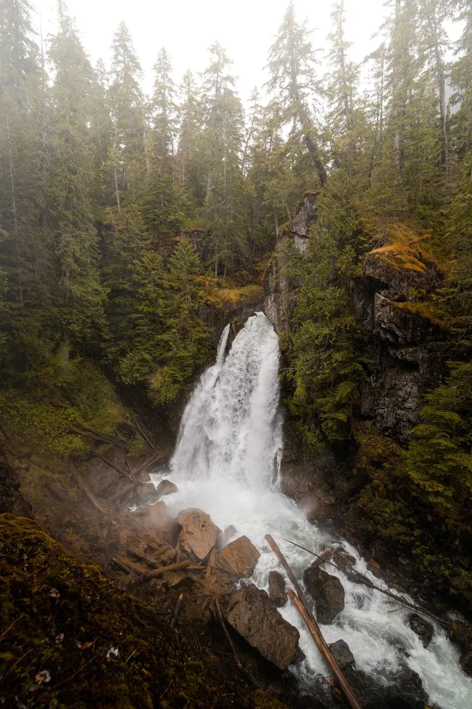 Wasserfall stürzt in eine bemooste Schlucht im nebligen Nadelwald, Felsblöcke und Baumstämme im Vordergrund