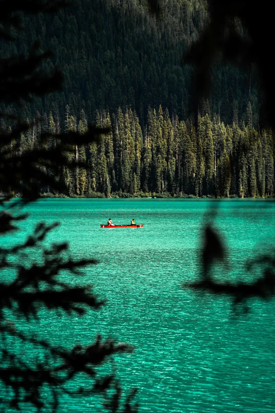 Rotes Kanu mit zwei Personen auf einem türkisfarbenen Bergsee vor dunklem Nadelwald, durch Zweige fotografiert