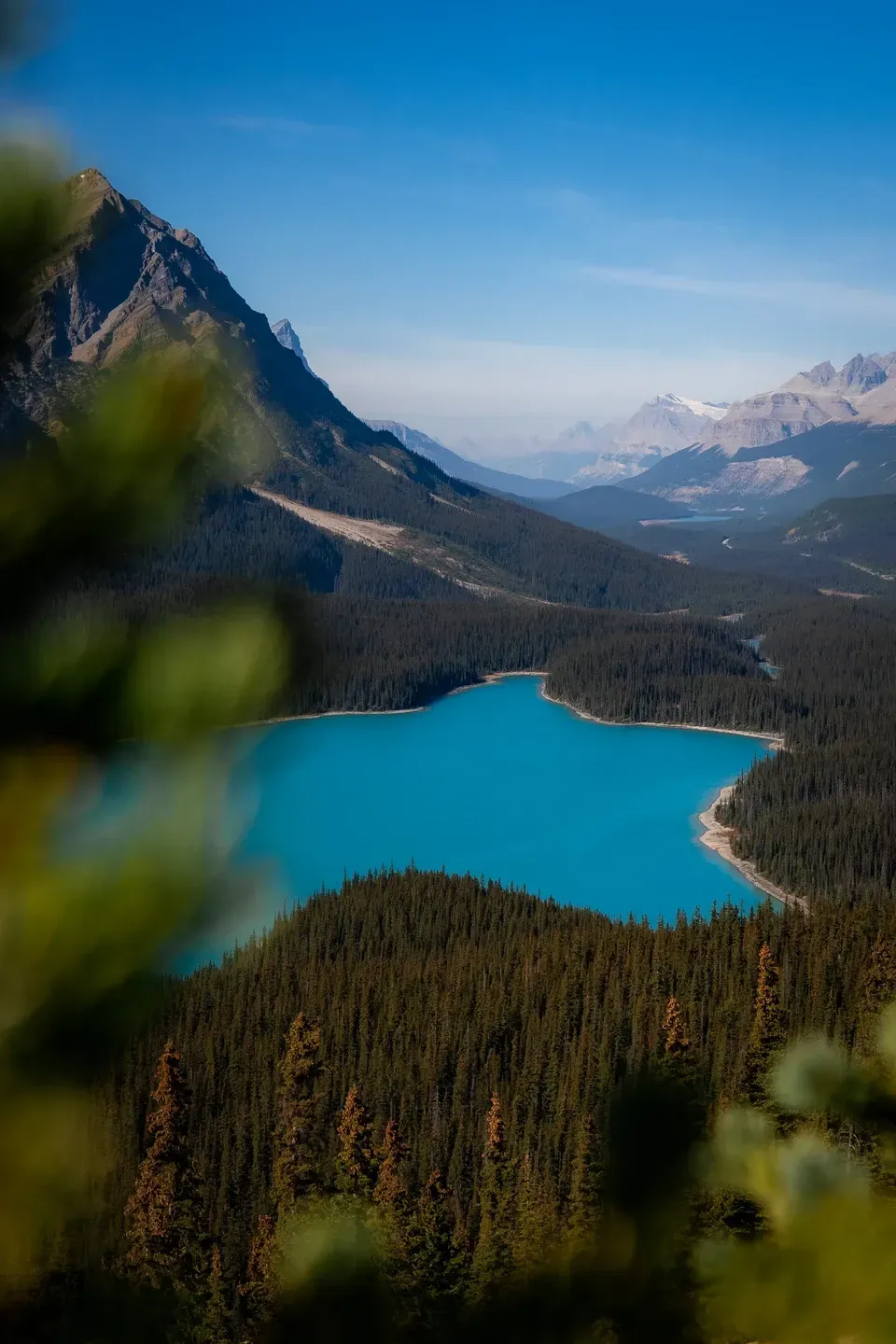Blick von oben auf einen türkisblauen Gletschersee in einem bewaldeten Tal, Bergketten bis zum Horizont