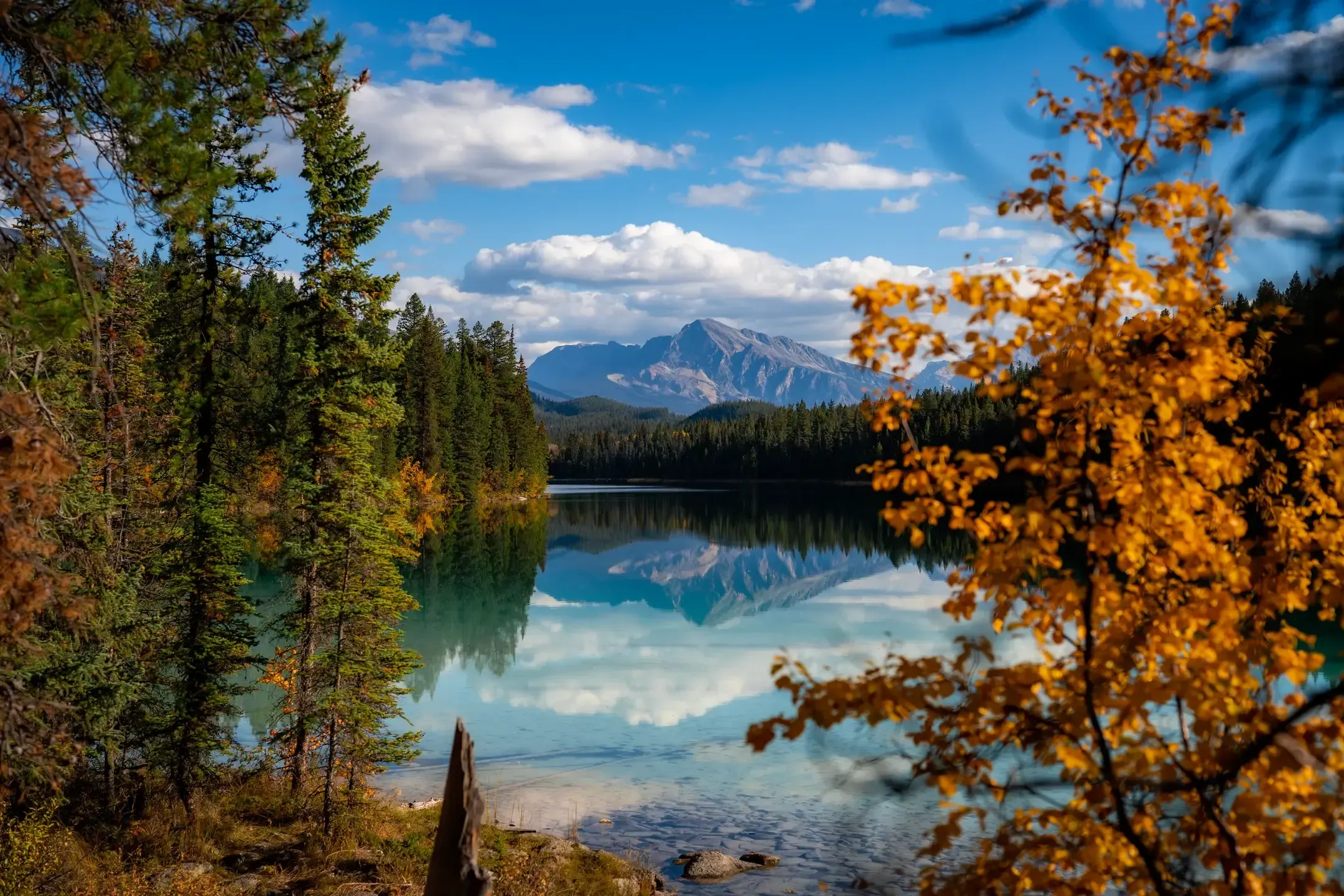 Bergsee spiegelt Gipfel und Wolken, eingerahmt von Nadelbäumen und einem Strauch mit gelbem Herbstlaub