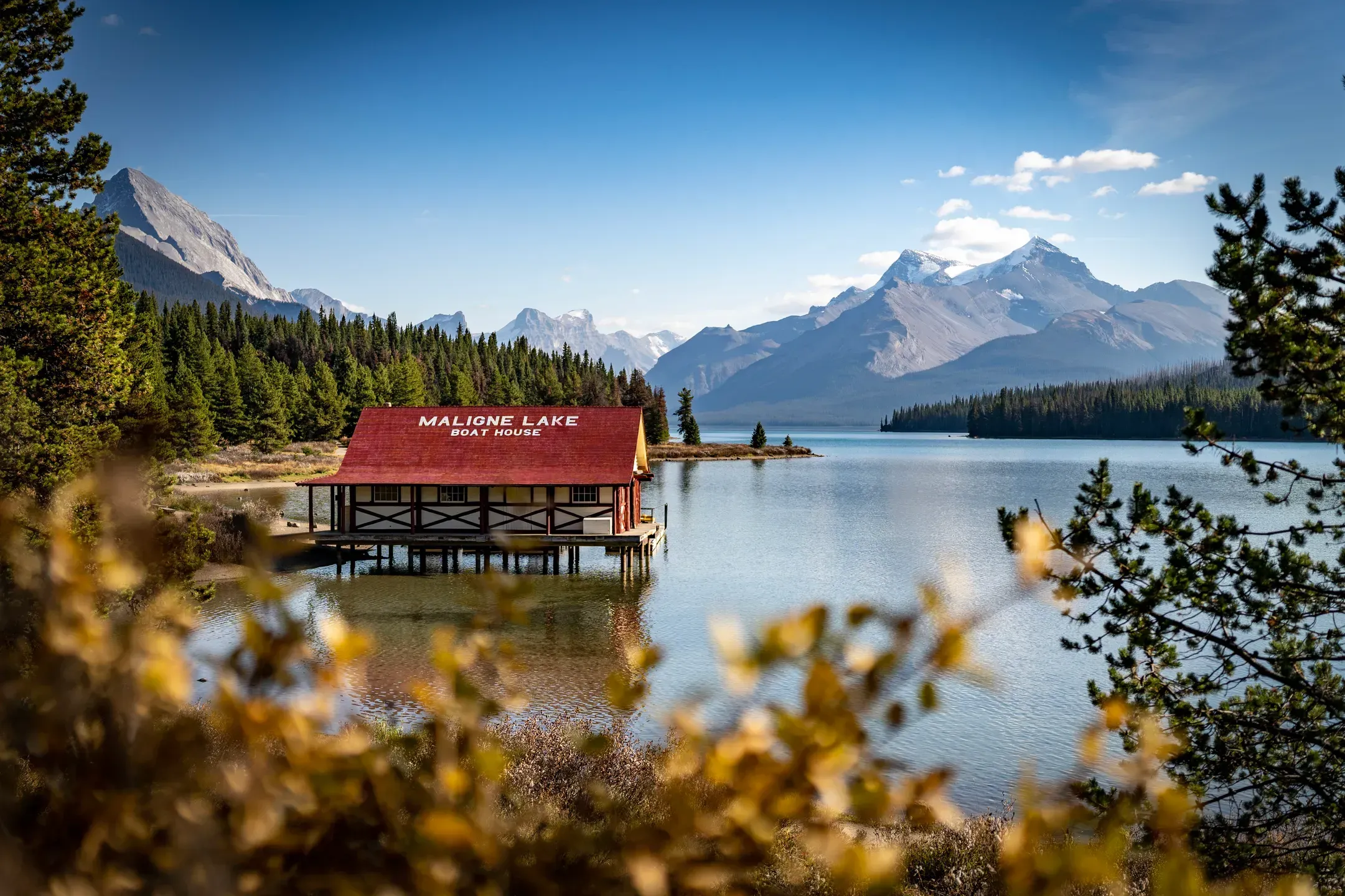 Rotes Bootshaus mit der Aufschrift Maligne Lake Boat House am Seeufer vor verschneiten Bergen, Herbstlaub im Vordergrund