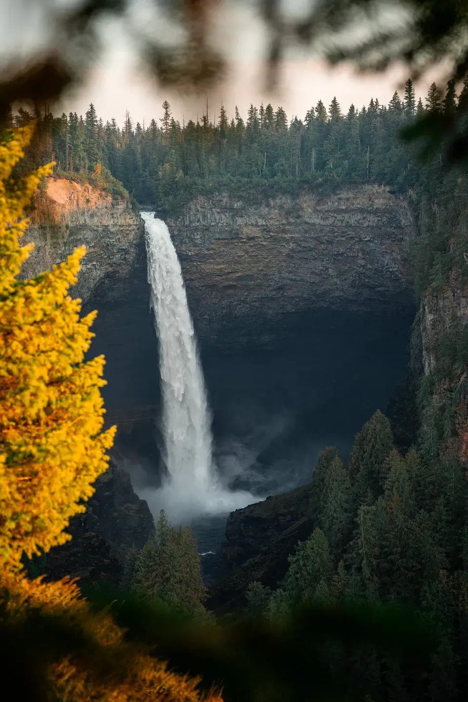 Hoher Wasserfall stürzt in einen dunklen Felskessel im Nadelwald, links ein Baum mit gelbem Herbstlaub