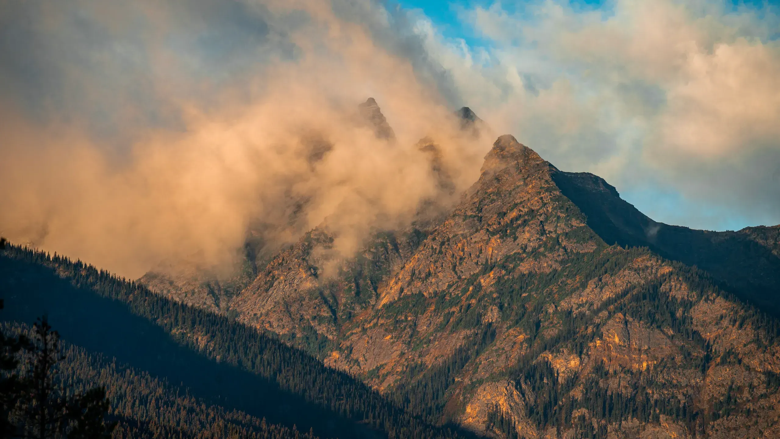 Felsiger Berggipfel mit Nadelwald, von goldenem Abendlicht angestrahlte Wolken ziehen um die Spitzen