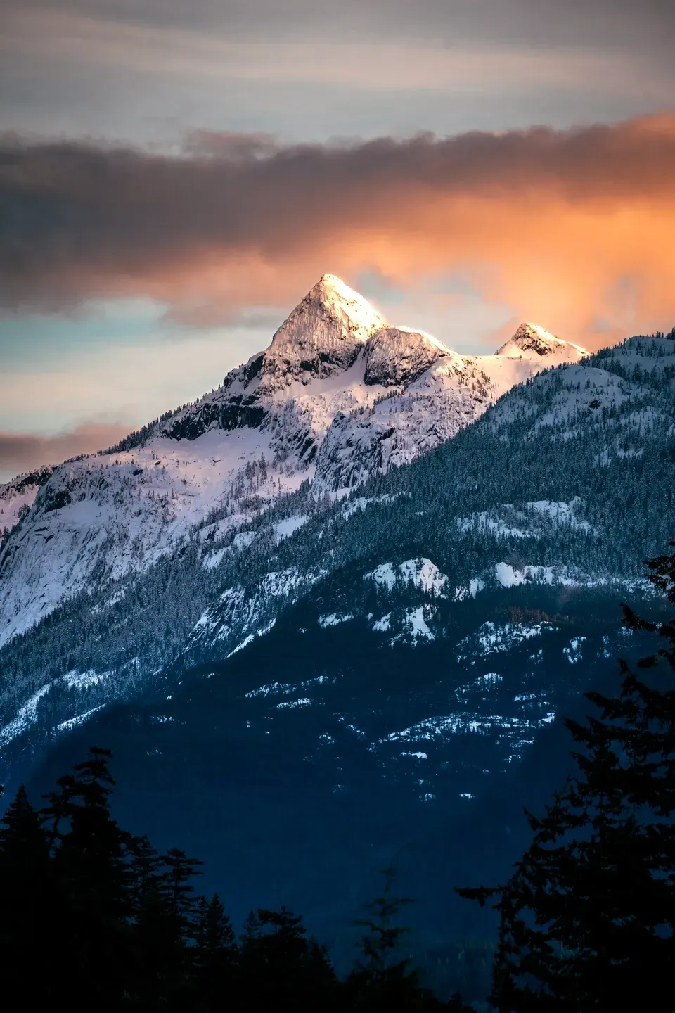 Schneebedeckter Berggipfel im letzten Sonnenlicht, darüber orange leuchtende Wolken und davor dunkle Tannen